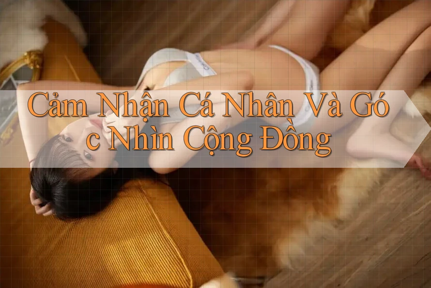 Cảm Nhận Cá Nhân Và Góc Nhìn Cộng Đồng