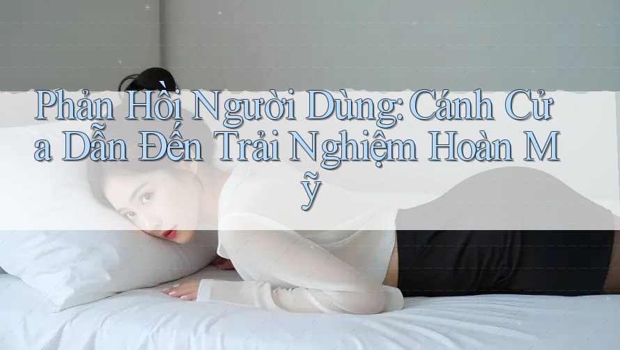 Phản Hồi Người Dùng: Cánh Cửa Dẫn Đến Trải Nghiệm Hoàn Mỹ