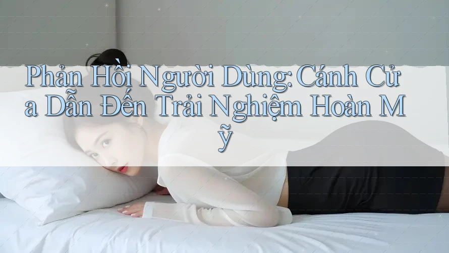 Phản Hồi Người Dùng: Cánh Cửa Dẫn Đến Trải Nghiệm Hoàn Mỹ